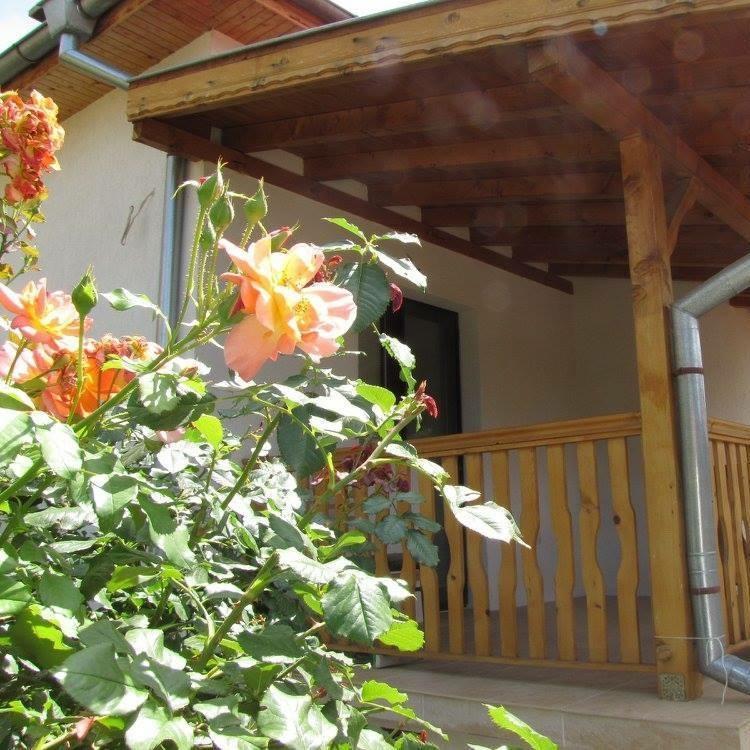 Guest House Vergie Sapareva Banya Buitenkant foto